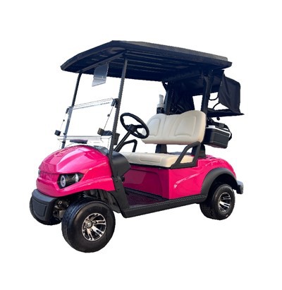 Volkswagen Golf Coche