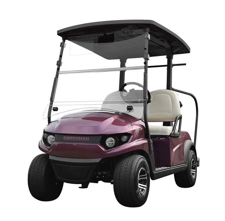 Vehículos de dos asientos en carrito de golf eléctrico